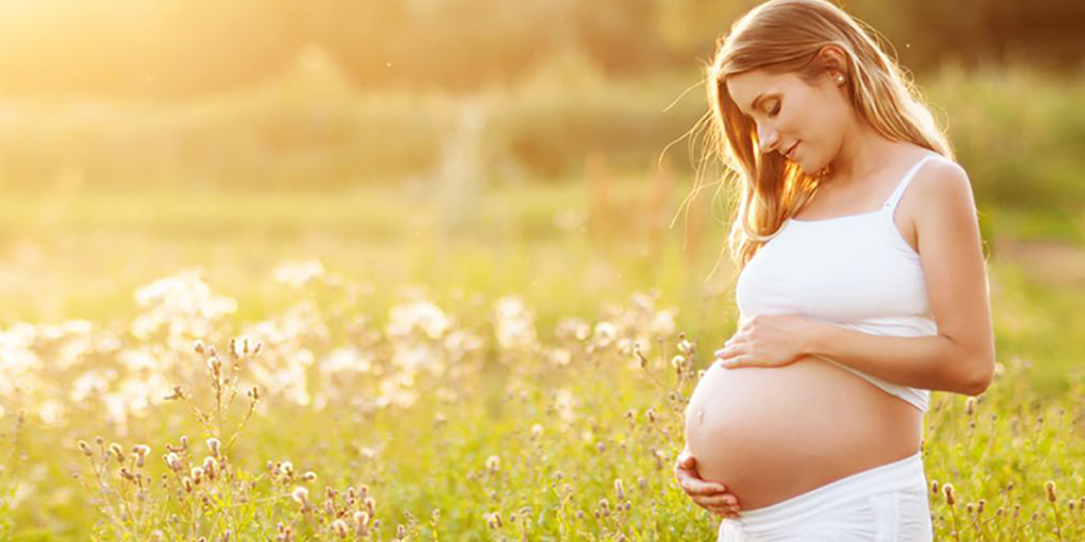 What Every Pregnant Woman Should Know about Herbs