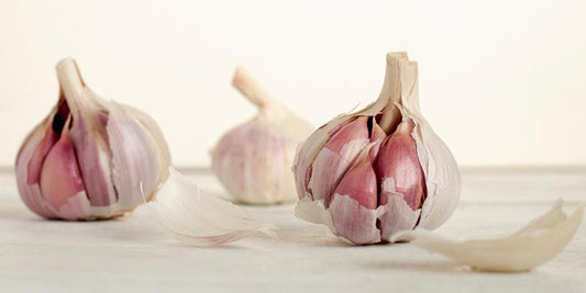 Garlic for Good Health