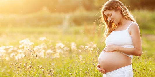 What Every Pregnant Woman Should Know about Herbs
