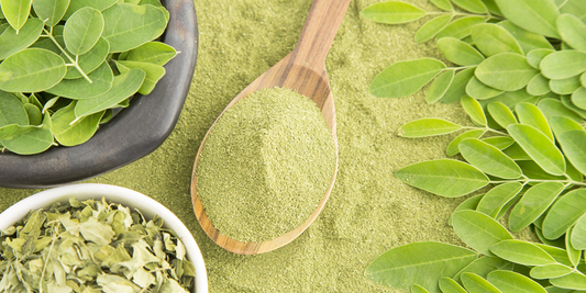 Magnificent Moringa to Support Respiratory Health