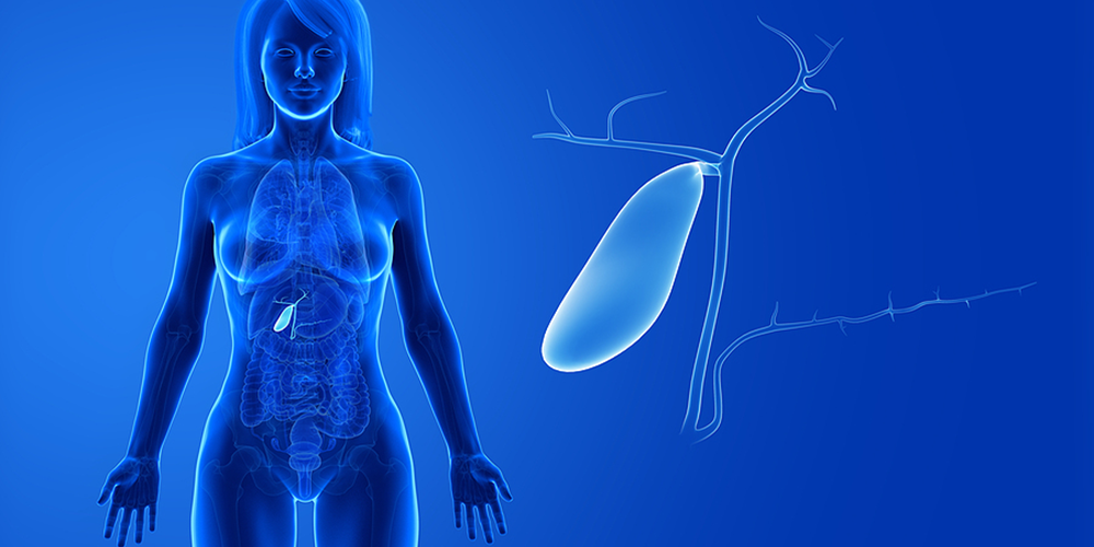 What Your Gallbladder Does & How to Keep it Healthy
