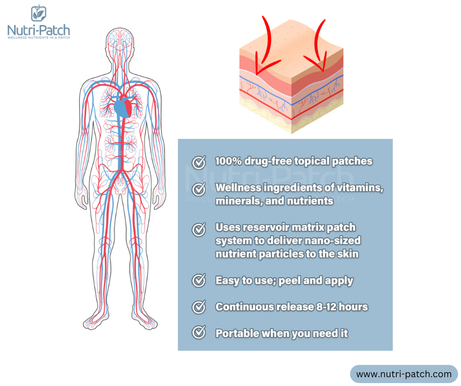 Nutrient Absorption Through the Skin 